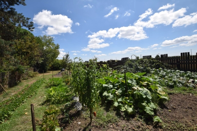 Photos 9 - Touristique - Domaine à vendre, une maison, des chambres d'hôtes et 2 appartements sur plus d'un hectare à SAINTE BAZEILLE (47)