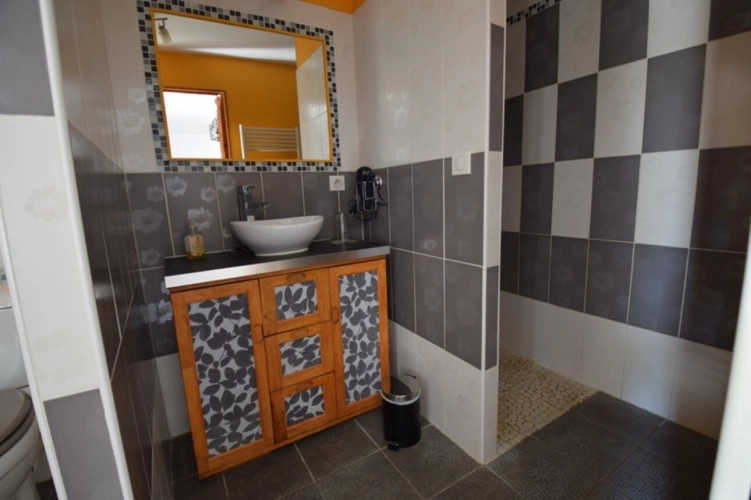 Photos 12 - Touristique - Domaine à vendre, une maison, des chambres d'hôtes et 2 appartements sur plus d'un hectare à SAINTE BAZEILLE (47)