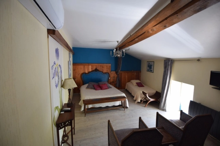 Photos 14 - Touristique - Domaine à vendre, une maison, des chambres d'hôtes et 2 appartements sur plus d'un hectare à SAINTE BAZEILLE (47)