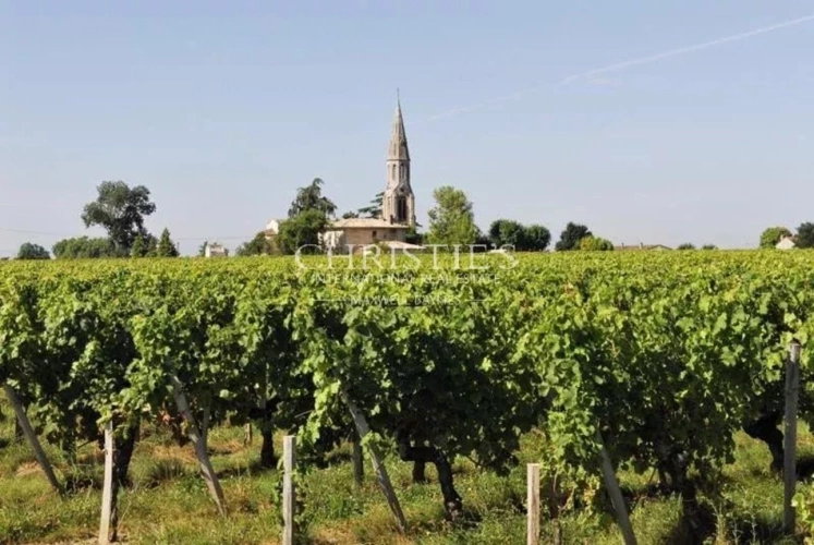 Photos 1 - Viticole - Opportunité rare : 1,15 ha de vignes en AOC Lalande-de-Pomerol