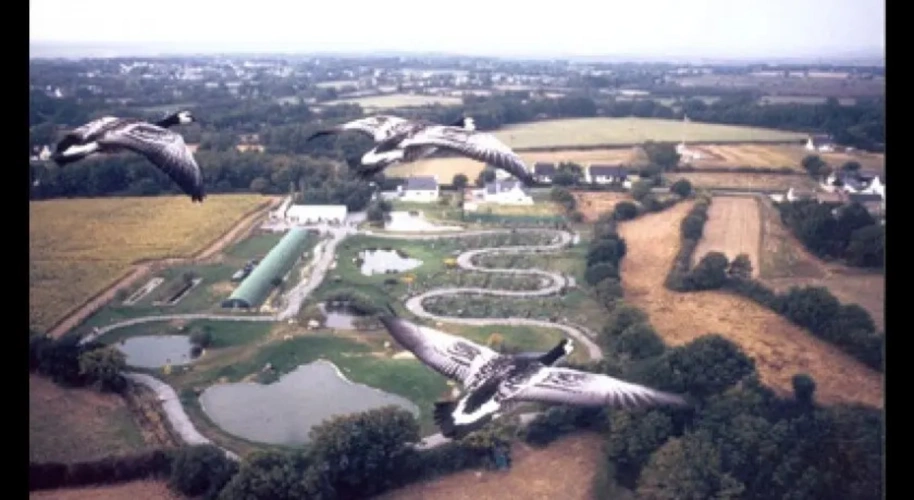 Photos 1 - Foncière - A VENDRE PARC AMENAGE DE 25 000M2