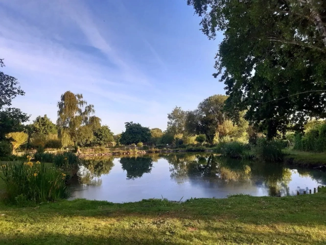 Photos 2 - Foncière - A VENDRE PARC AMENAGE DE 25 000M2