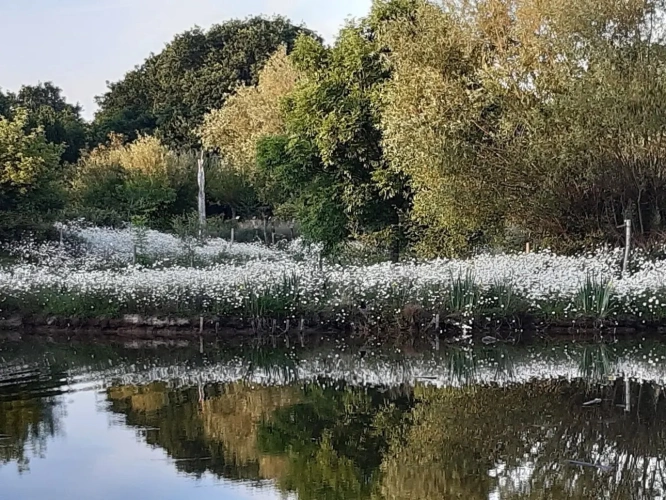 Photos 3 - Foncière - A VENDRE PARC AMENAGE DE 25 000M2