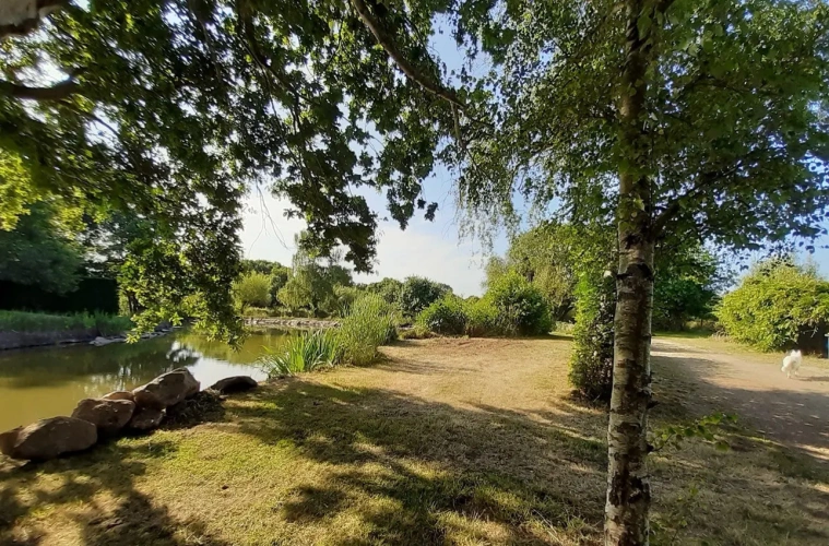 Photos 7 - Foncière - A VENDRE PARC AMENAGE DE 25 000M2