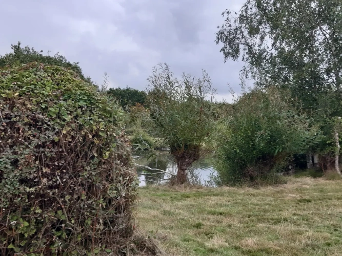 Photos 9 - Foncière - A VENDRE PARC AMENAGE DE 25 000M2