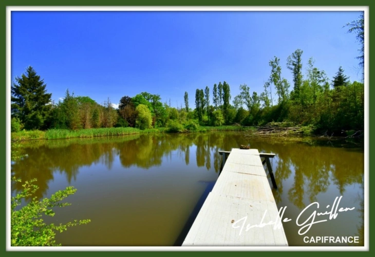 Photos 1 - Foncière - Dpt Cher (18), à vendre CHATEAUMEILLANT terrain