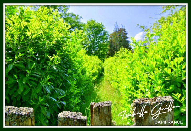Photos 3 - Foncière - Dpt Cher (18), à vendre CHATEAUMEILLANT terrain