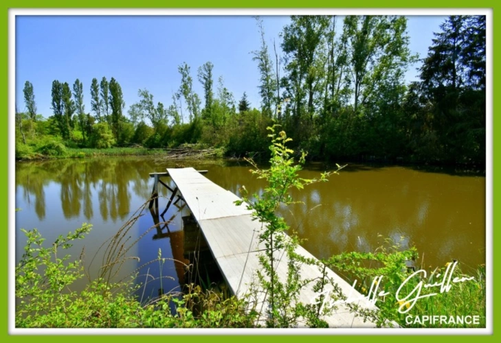 Photos 6 - Foncière - Dpt Cher (18), à vendre CHATEAUMEILLANT terrain