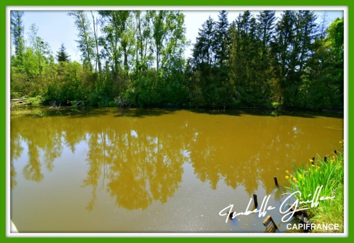 Photos 7 - Foncière - Dpt Cher (18), à vendre CHATEAUMEILLANT terrain