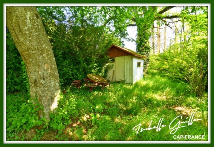 Photos 9 - Foncière - Dpt Cher (18), à vendre CHATEAUMEILLANT terrain