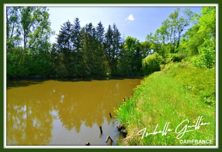 Photos 10 - Foncière - Dpt Cher (18), à vendre CHATEAUMEILLANT terrain