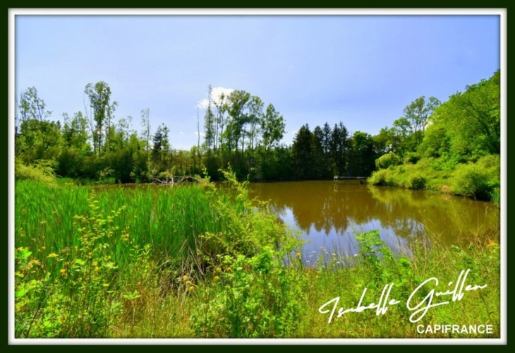 Photos 11 - Foncière - Dpt Cher (18), à vendre CHATEAUMEILLANT terrain