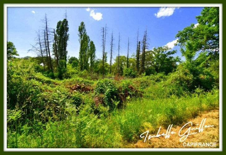 Photos 12 - Foncière - Dpt Cher (18), à vendre CHATEAUMEILLANT terrain