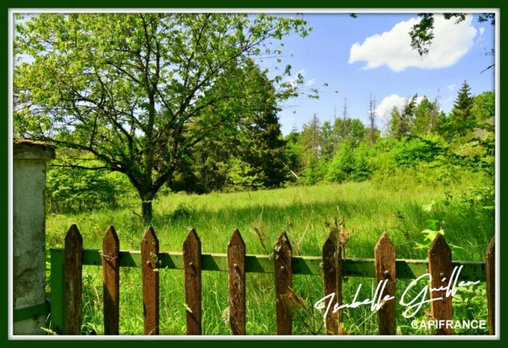 Photos 13 - Foncière - Dpt Cher (18), à vendre CHATEAUMEILLANT terrain
