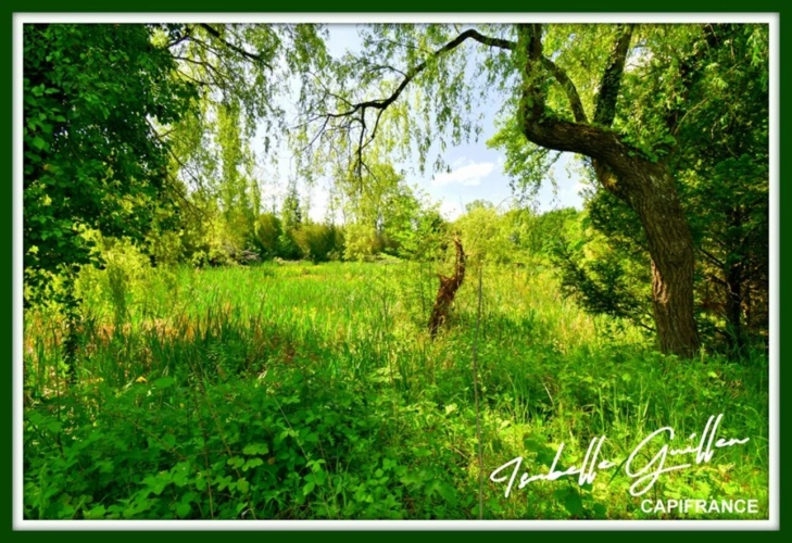Photos 14 - Foncière - Dpt Cher (18), à vendre CHATEAUMEILLANT terrain