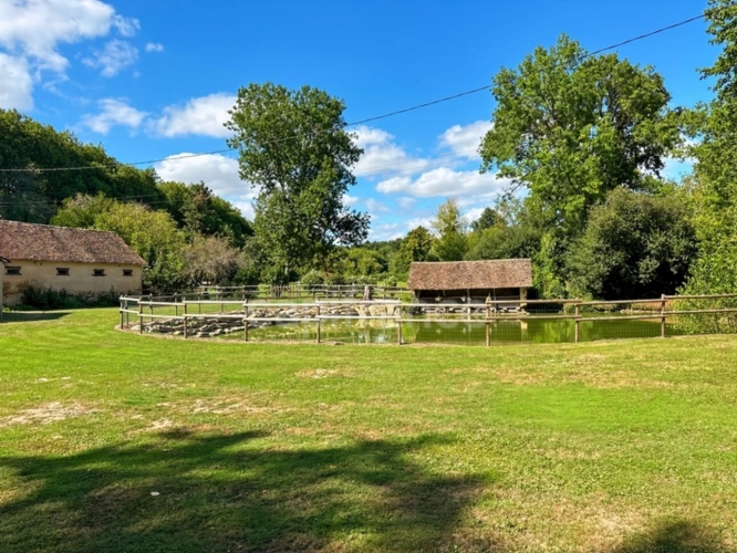 Photos 27 - Touristique - Propriéte à vendre Gite de groupe avec maison d'habitation