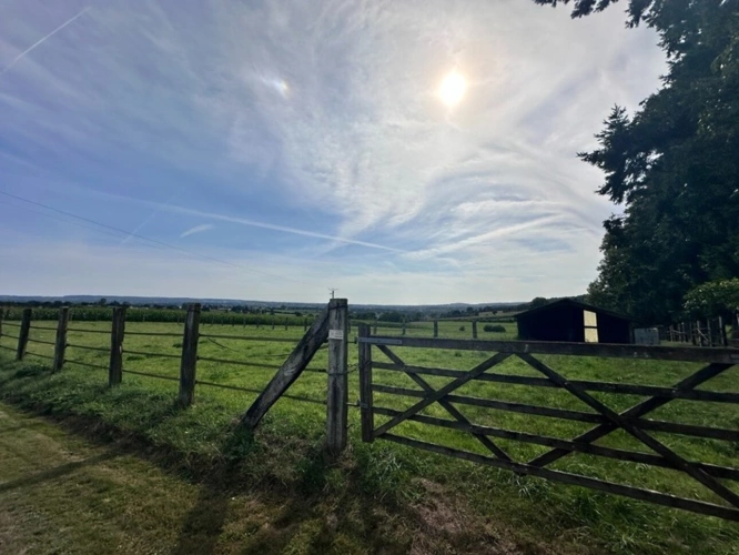 Photos 22 - Équestre - Propriété équestre à vendre – 6 pièces – 2,8 hectares – LANDELLES-ET-COUPIGNY (14)