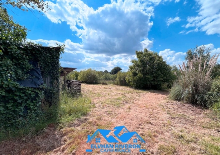 Photos 5 - Foncière - Terrain avec un grand verger et un étang