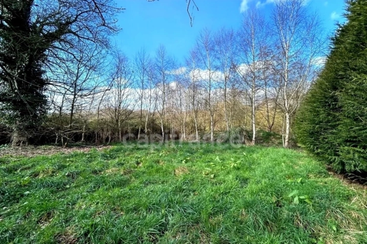 Photos 9 - Foncière - Terrain avec un grand verger et un étang