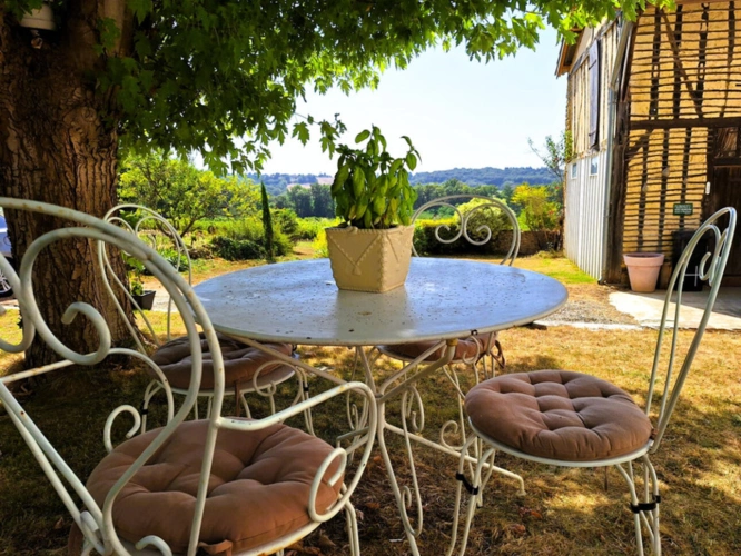 Photos 17 - Prestige - RISCLE et AIRE SUR L ADOUR proche, en COTEAUX, VUE DOMINANTE, sans voisin, PROPRIETE XIXs  cosy, sur 1 ha, sans travaux