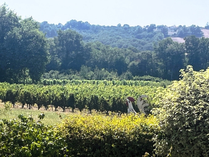 Photos 19 - Prestige - RISCLE et AIRE SUR L ADOUR proche, en COTEAUX, VUE DOMINANTE, sans voisin, PROPRIETE XIXs  cosy, sur 1 ha, sans travaux