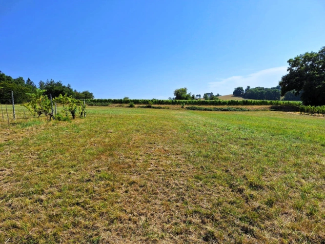 Photos 25 - Prestige - RISCLE et AIRE SUR L ADOUR proche, en COTEAUX, VUE DOMINANTE, sans voisin, PROPRIETE XIXs  cosy, sur 1 ha, sans travaux