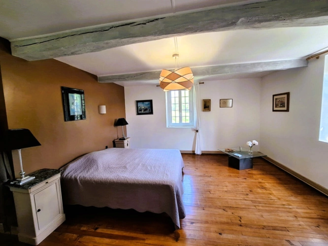 Photos 26 - Prestige - RISCLE et AIRE SUR L ADOUR proche, en COTEAUX, VUE DOMINANTE, sans voisin, PROPRIETE XIXs  cosy, sur 1 ha, sans travaux