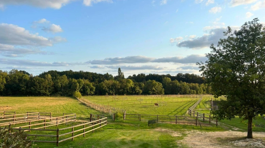 Photos 4 - Équestre - Propriété équestre d’exception de 23 hectares nichée dans un écrin de verdure