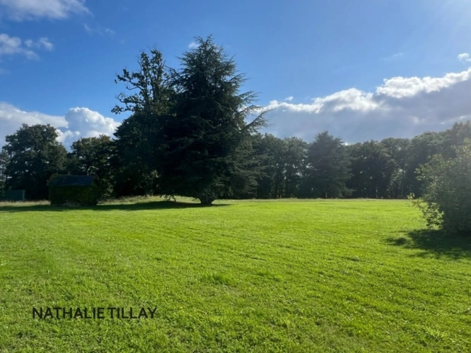 Photos 7 - Prestige - Orléans, demeure de prestige, propriete à vendre, chateau 440 m², piscine, tennis, maison d'amis 85 m², dépendances potentiel aménageable , parc paysagé et arboré 4 ha