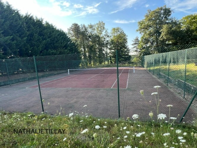 Photos 9 - Prestige - Orléans, demeure de prestige, propriete à vendre, chateau 440 m², piscine, tennis, maison d'amis 85 m², dépendances potentiel aménageable , parc paysagé et arboré 4 ha