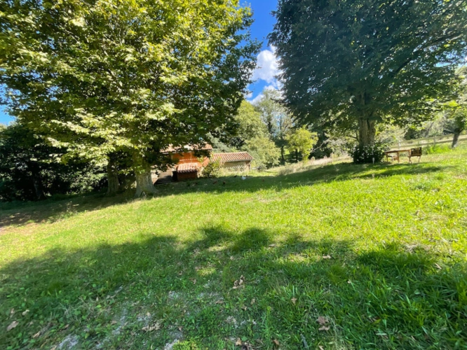 Photos 4 - Prestigious - Propriete à vendre 22 pièces AIGUEFONDE (81)