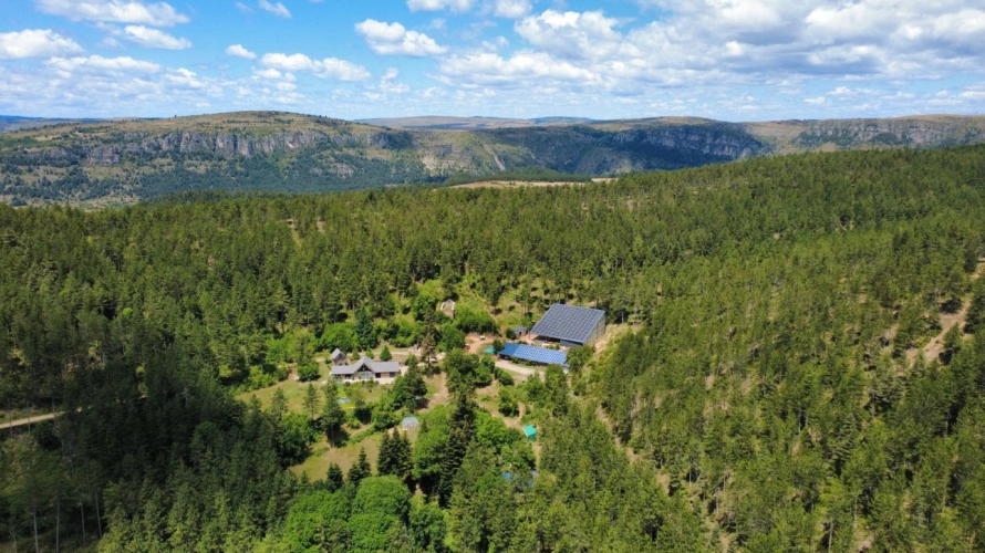 Photos 1 - Forestière - 210 hectares au cœur des Cévennes