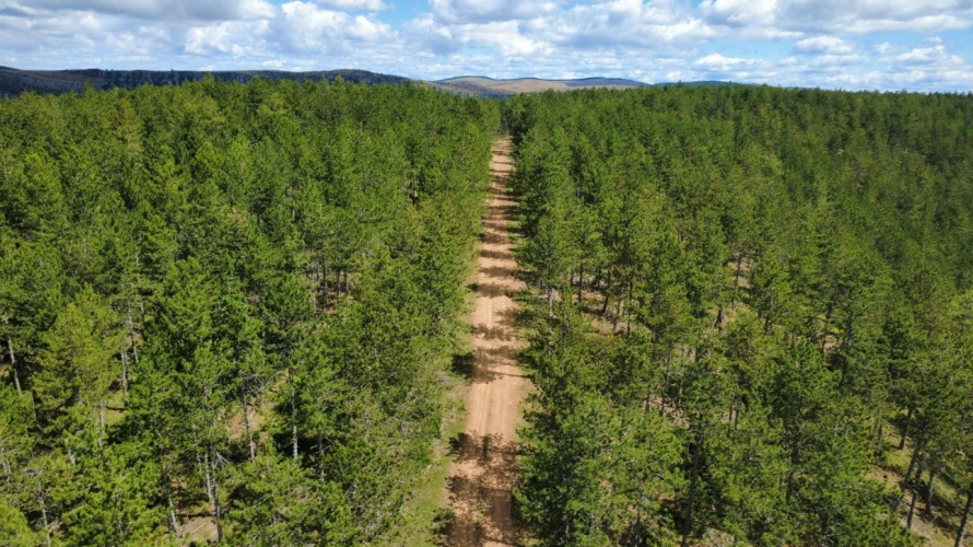 Photos 3 - Forestière - 210 hectares au cœur des Cévennes