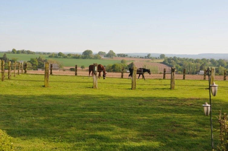 Photos 7 - Équestre - Propriété équestre à vendre – 7 pièces – 2,8 hectares – LANDELLES-ET-COUPIGNY (14)