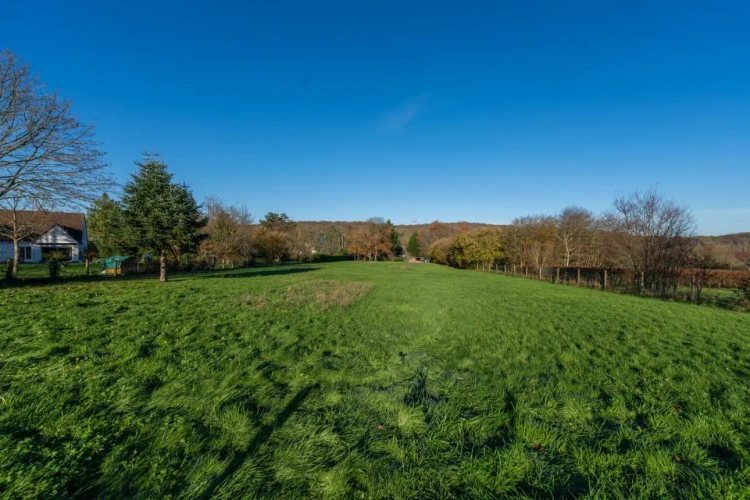 Photos 2 - Équestre - 91470 - FORGES-LES-BAINS - 6000 M2 pour accueillir vos chevaux en Essonne