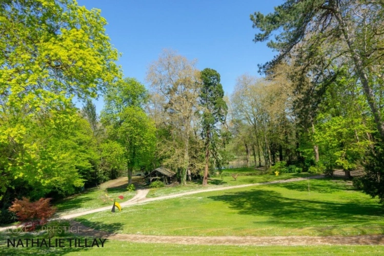 Photos 4 - Prestige - Propriété, à vendre OLIVET proche Orléans , EXCEPTIONNELLE,  1h du péage Paris St Arnoult, piscine , parc et  Bord du Loiret