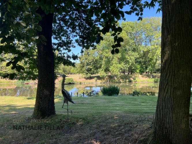 Photos 17 - Prestige - Propriété, à vendre OLIVET proche Orléans , EXCEPTIONNELLE,  1h du péage Paris St Arnoult, piscine , parc et  Bord du Loiret