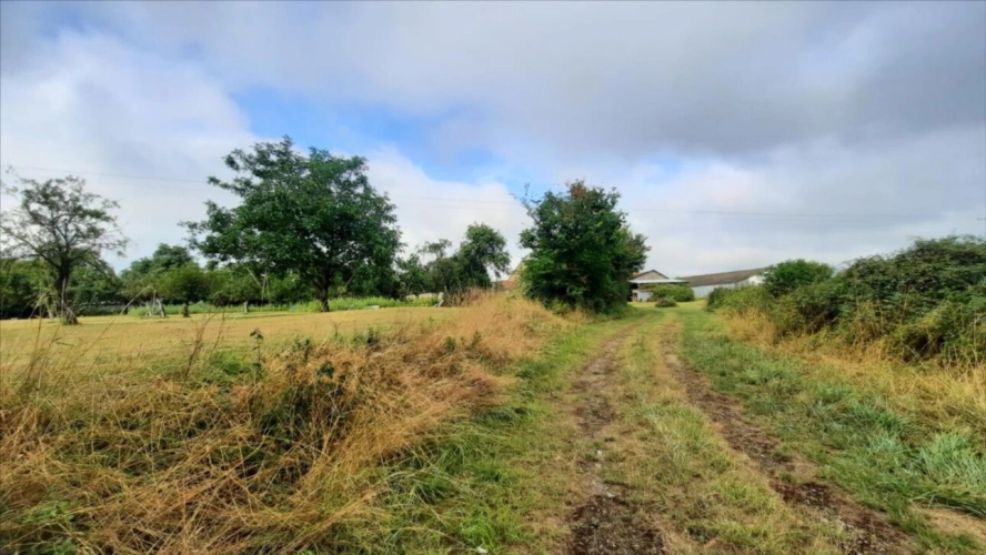 Photos 1 - Agricole - EXCLUSIF Nord Indre Exploitation caprin