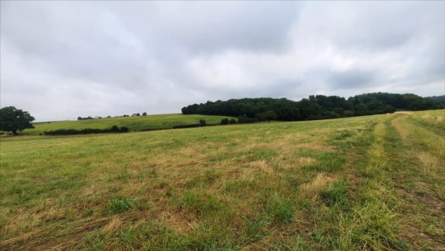 Photos 2 - Agricole - EXCLUSIF Nord Indre Exploitation caprin