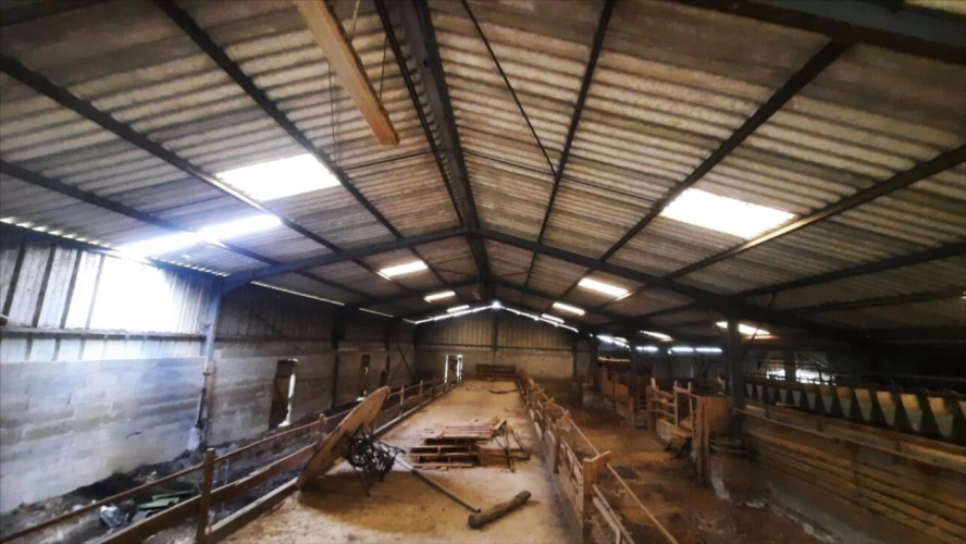 Photos 8 - Agricole - EXCLUSIF Nord Indre Exploitation caprin