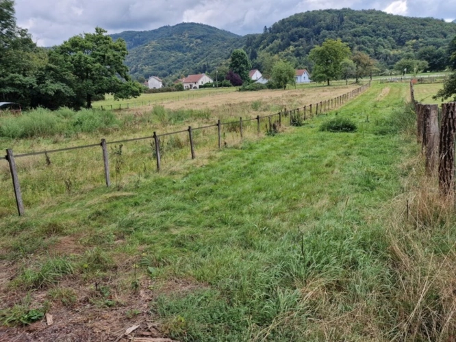 Photos 22 - Prestige - Propriete à vendre proche LURE (70) FERME T7 RENOVEE avec DEPENDANCES