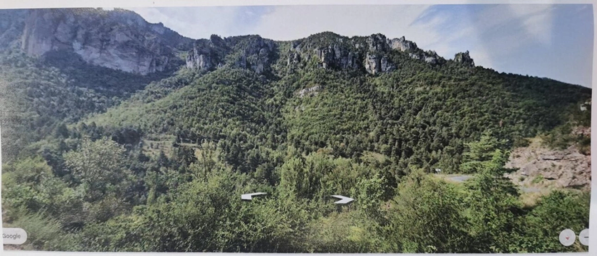 Photos 1 - Foncière - Terrain