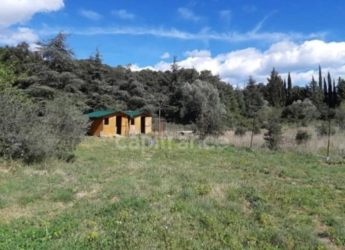 Photos 7 - Prestige - Terrain 16 200 m² + Maison autonome – Gigean – Vue imprenable – Calme absolu