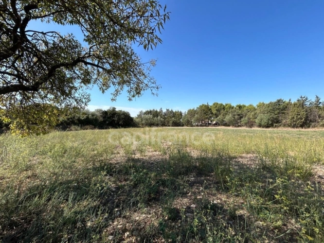 Photos 10 - Prestige - Terrain 16 200 m² + Maison autonome – Gigean – Vue imprenable – Calme absolu