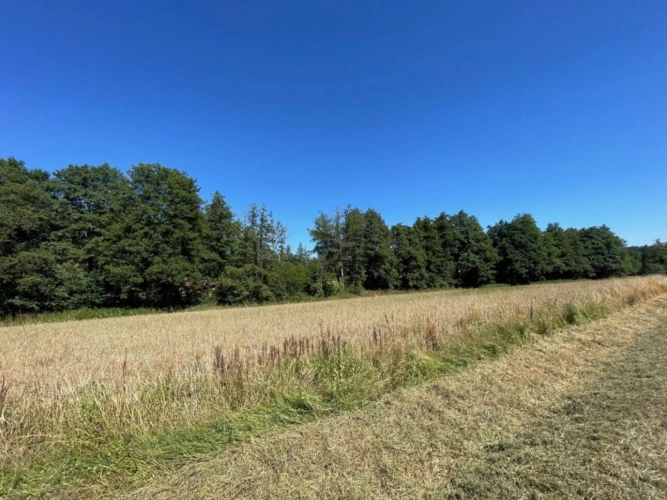 Photos 19 - Touristique - Corps de ferme