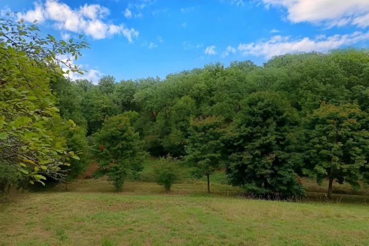 Photos 1 - Foncière - Terrain agricole