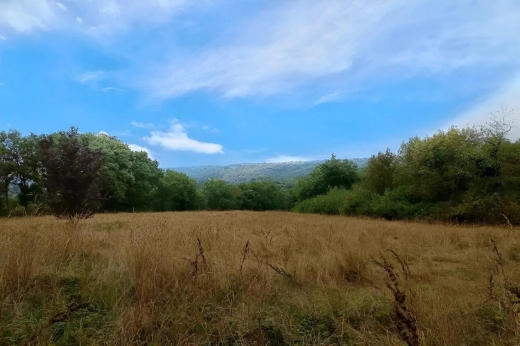 Photos 2 - Foncière - Terrain agricole