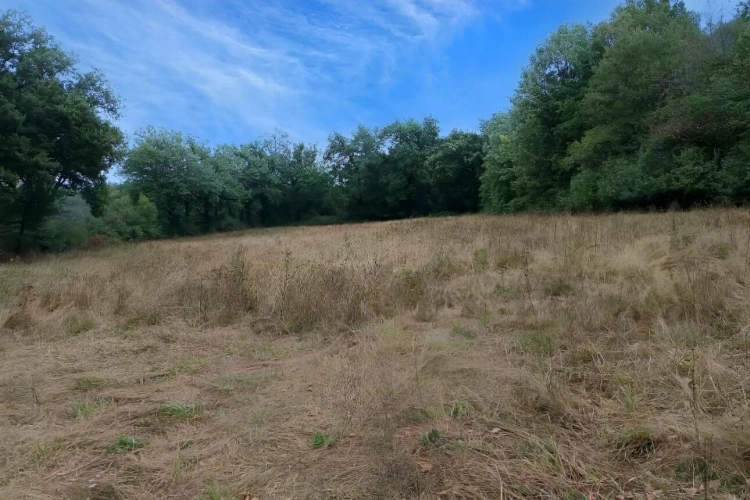 Photos 3 - Foncière - Terrain agricole