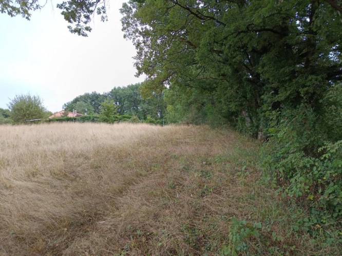 Photos 7 - Foncière - Terrain agricole