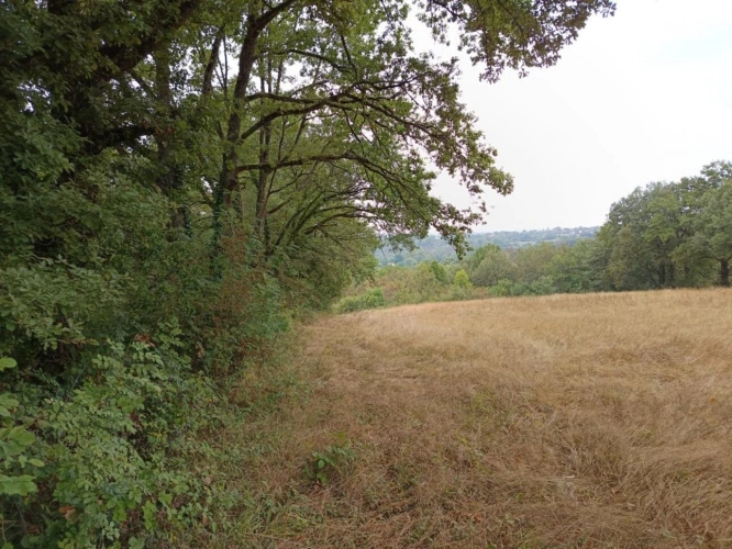 Photos 9 - Foncière - Terrain agricole